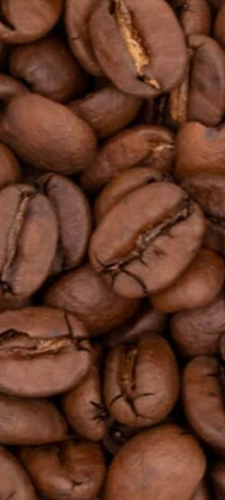 Kwaliteits Koffiebonen( vers gebrand) vanaf €8.90 /kg, Diversen, Levensmiddelen, Ophalen of Verzenden