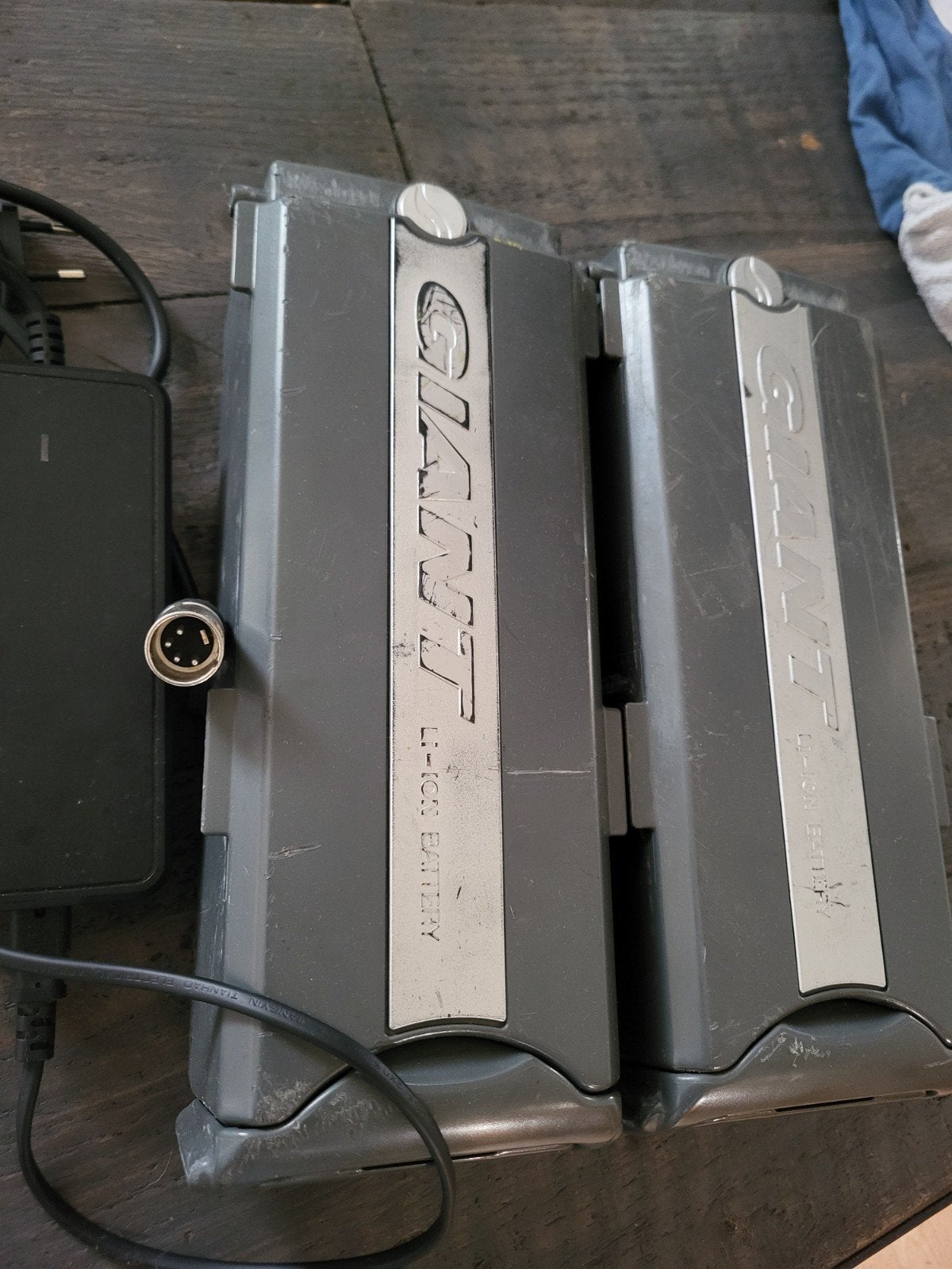 Giant Li-ion E-bike Accu's met Oplader (2 stuks)