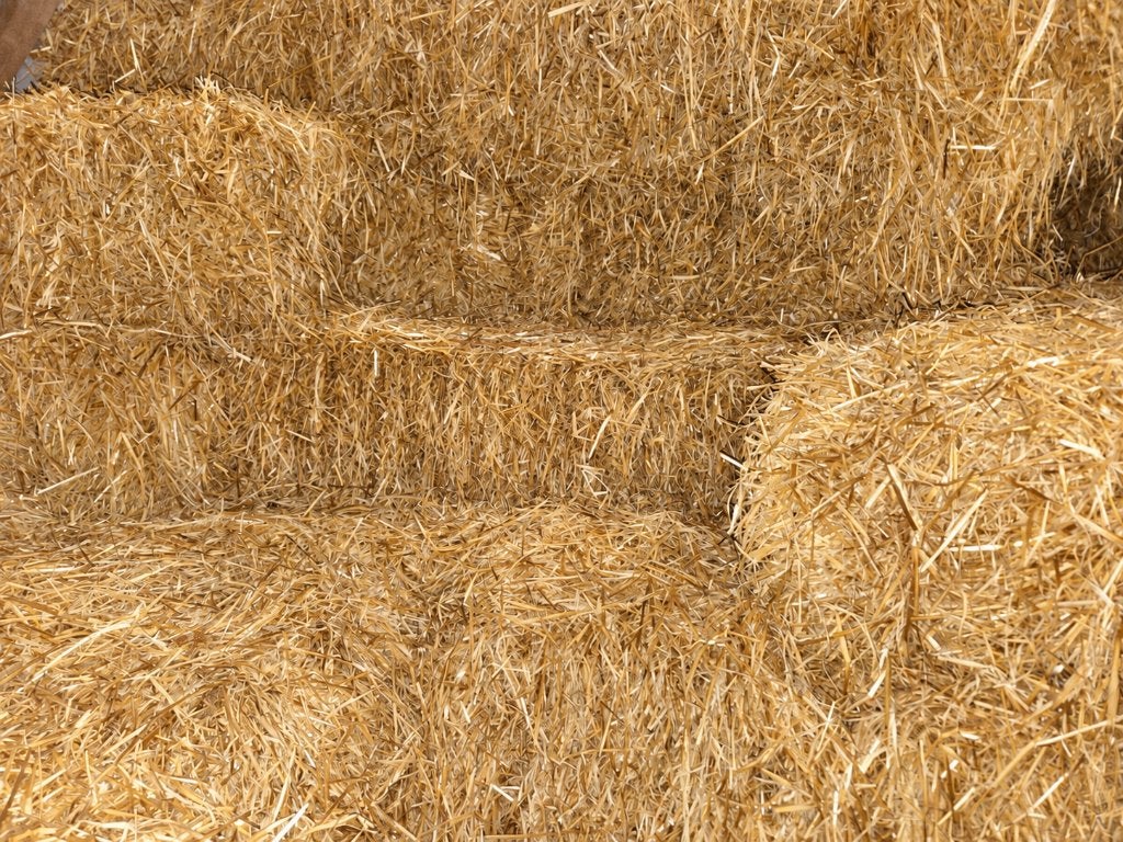 Gerste Stro mooie kwaliteit!, Ophalen, Vee