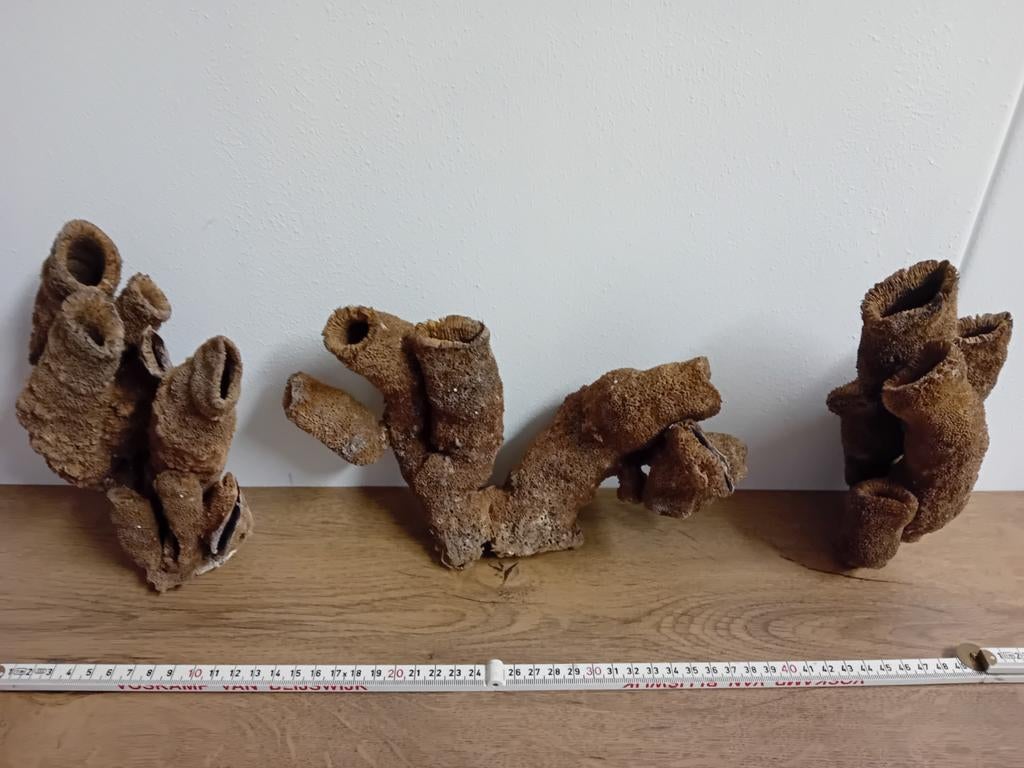 Set sponzen uit de Filipijnen, Ophalen of Verzenden