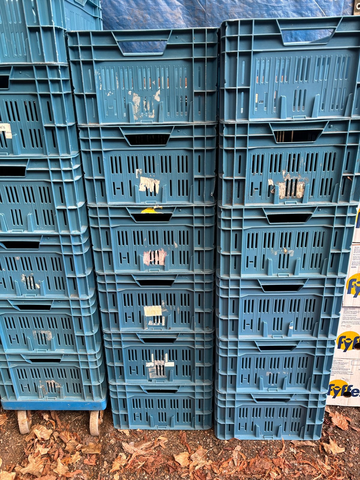 Blauwe kunststof kratten, Doe-het-zelf en Verbouw, Ophalen, Gebruikt, 40 tot 60 cm, 50 tot 75 cm