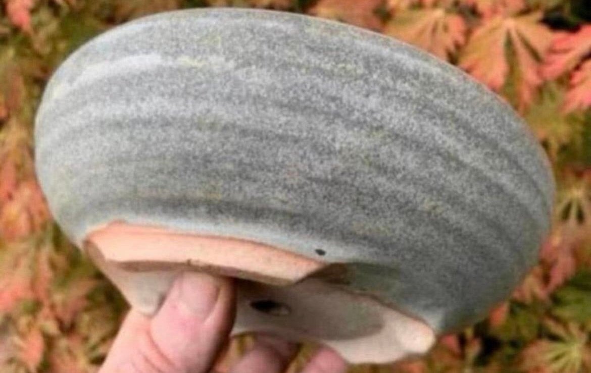 Bonsai schaal rond handgemaakt grijs tinten geglazuurd 18,5, Tuin en Terras, Rond, Ophalen of Verzenden, Zo goed als nieuw, Aardewerk