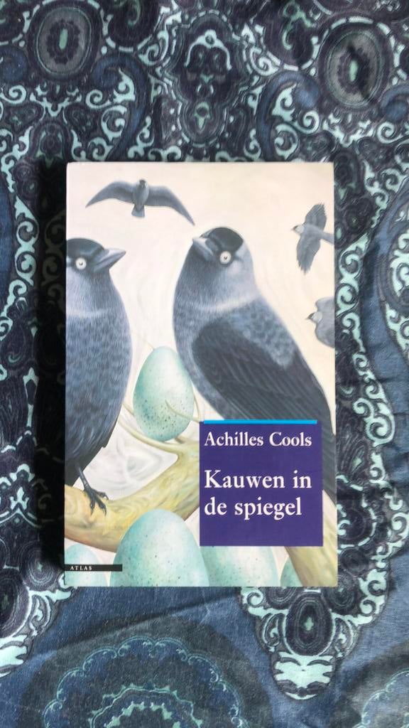 Achilles Cools - Kauwen in de spiegel, Ophalen of Verzenden, Zo goed als nieuw, A. Cools