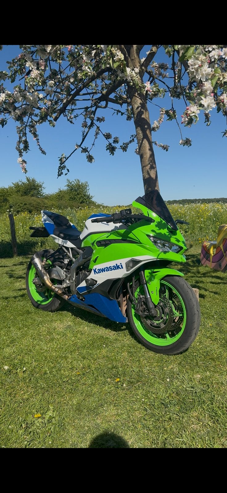 Kawasaki ZX4RR 40th anniversary (A2 kenteken), 4 cilinders, Gebruikt, 399 cc, Meer dan 35 kW
