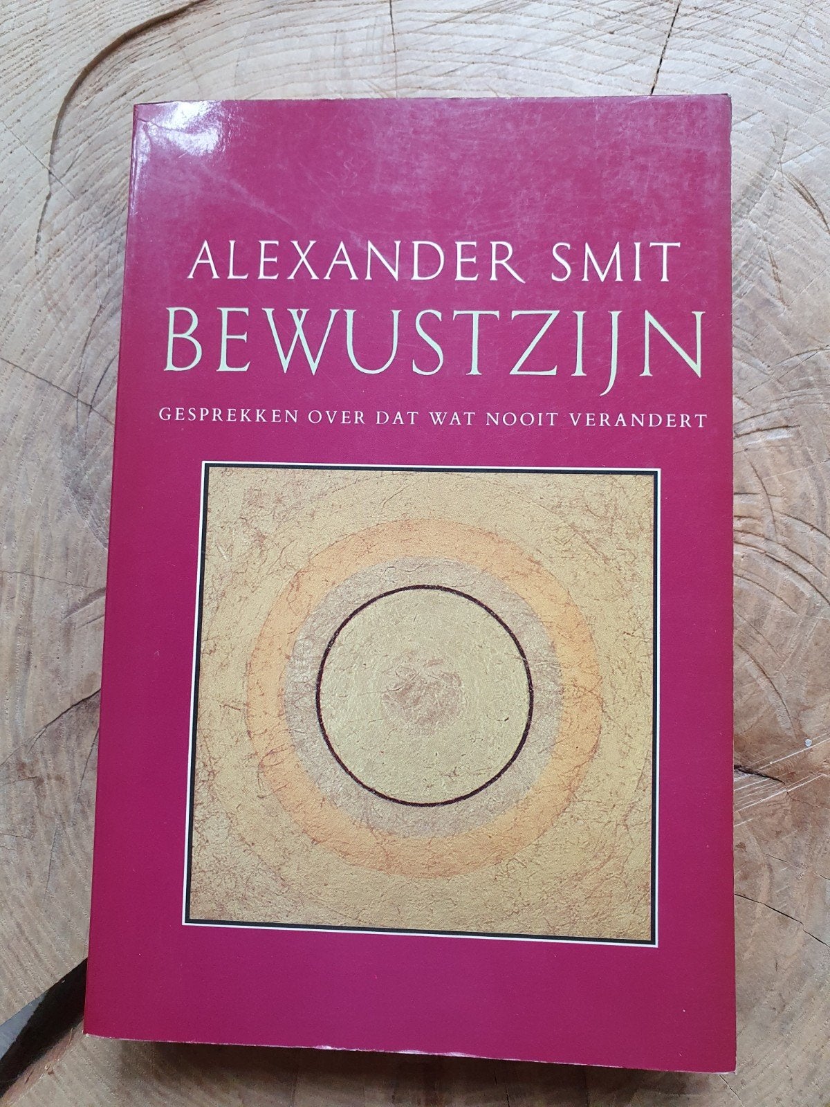 Alexander Smit - Bewustzijn, Achtergrond en Informatie, Spiritualiteit algemeen, Alexander Smit, Ophalen of Verzenden