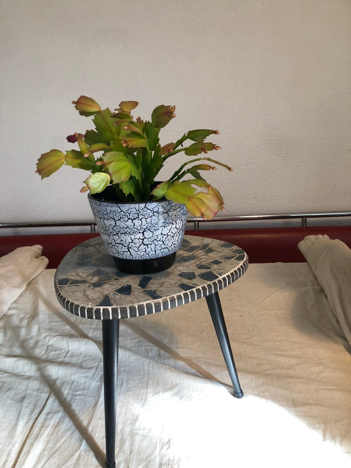 Plantentafeltje,fifties,60s,Mid-Century,Rockabilly,vintage, Vintage, Gebruikt, Meerkleurig, Ophalen of Verzenden