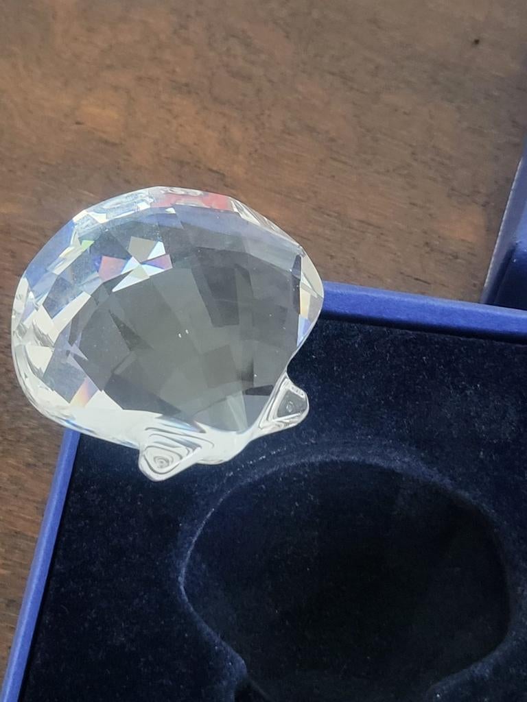 Swarovski Sint-Jacobsschelp 833506, Ophalen of Verzenden