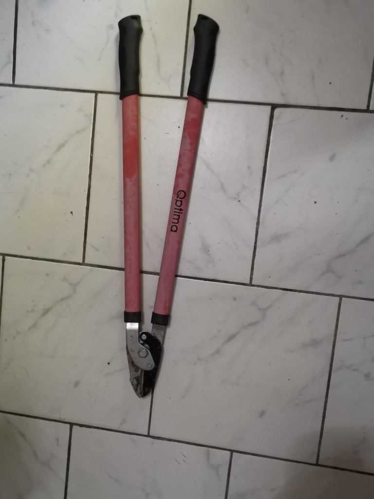 Snoeischaar, Tuin en Terras, Ophalen of Verzenden, Gebruikt