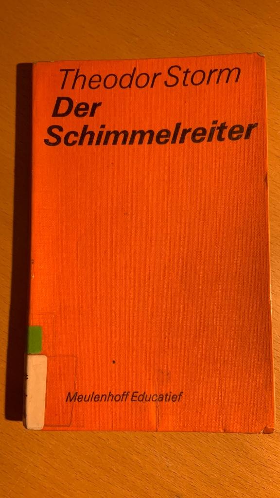 Der schimmelreiter - Theodor Storm, Ophalen of Verzenden