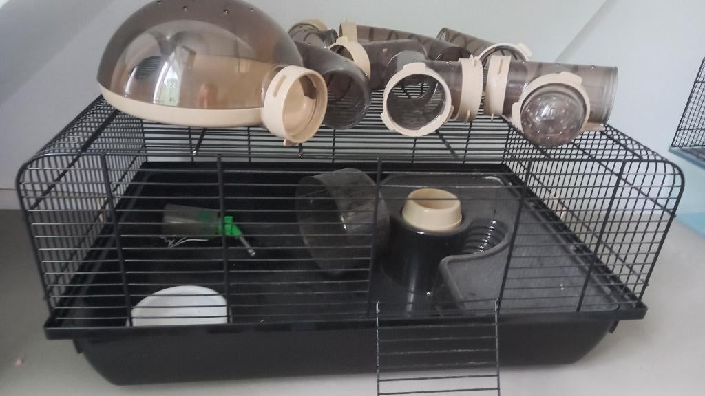Knaagdier kooi, Kooi, Gebruikt, Minder dan 75 cm, Muis