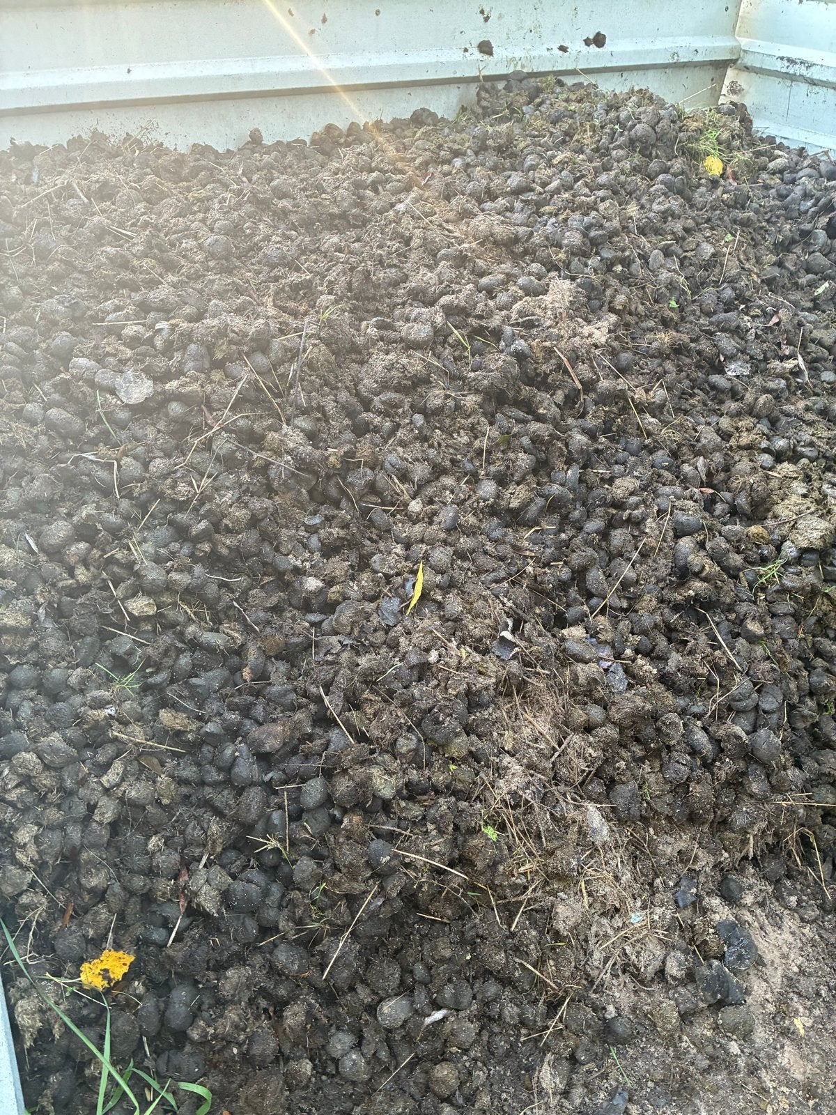 Verse paardenmest voor tuin en moestuin, Ophalen, Mest