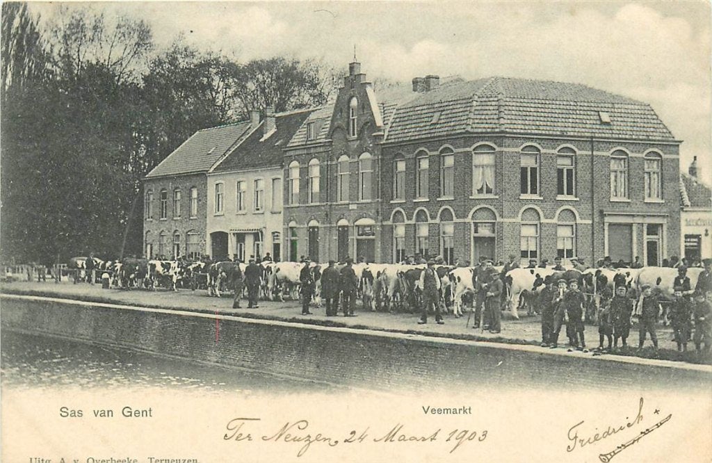 378-359-021 Sas van Gent Veemarkt, Verzamelen, Ophalen of Verzenden, Voor 1920, Zeeland