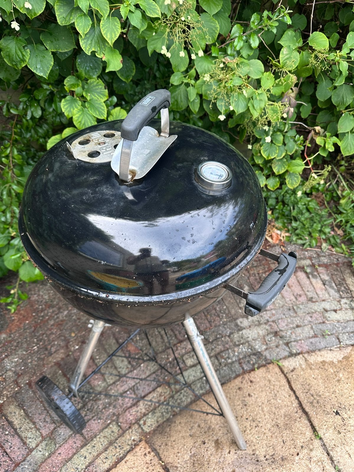 Weber BBQ - Gebruikte Houtskoolbarbecue, Ophalen, Gebruikt