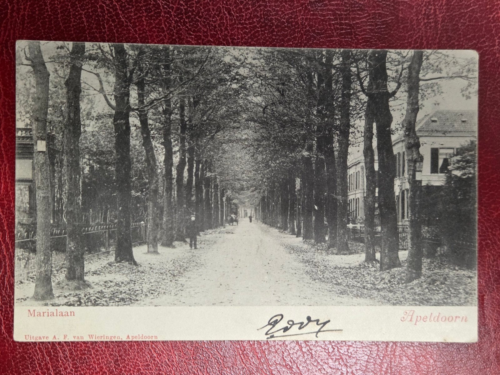 Apeldoorn Marialaan, Verzenden, Voor 1920, Gelderland
