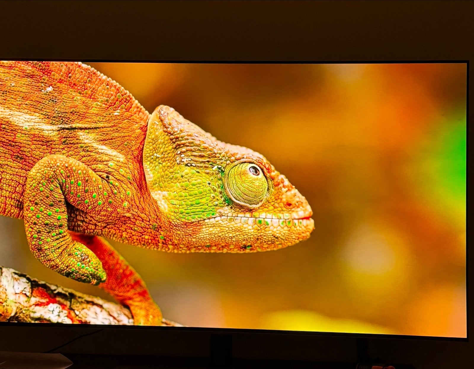 Foto 6 van LG OLED55G45LW OLED TV 2024