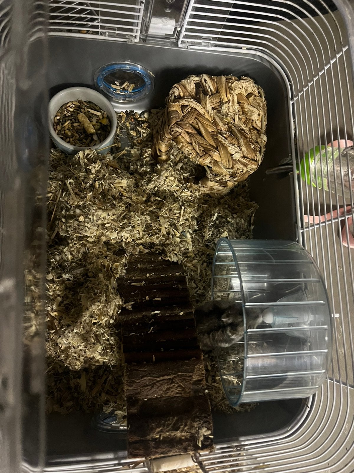 Hamster kooi, Ophalen of Verzenden, Zo goed als nieuw