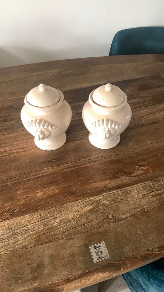 2 x pot leeuwenkop, Ophalen of Verzenden, Gebruikt