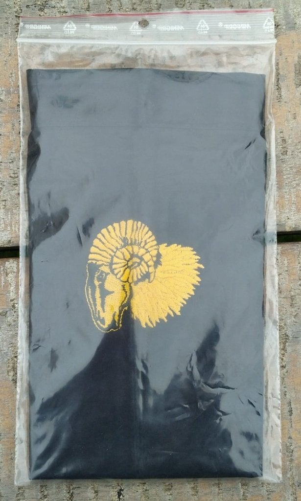Onderdeel sjaal 42e Pantser Infanterie Brigade, Ophalen of Verzenden, Landmacht, Nederland, Embleem of Badge