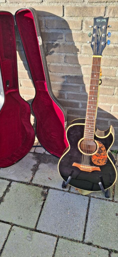 River side gitaar plus koffer en standaardt, Muziek en Instrumenten, Ophalen of Verzenden