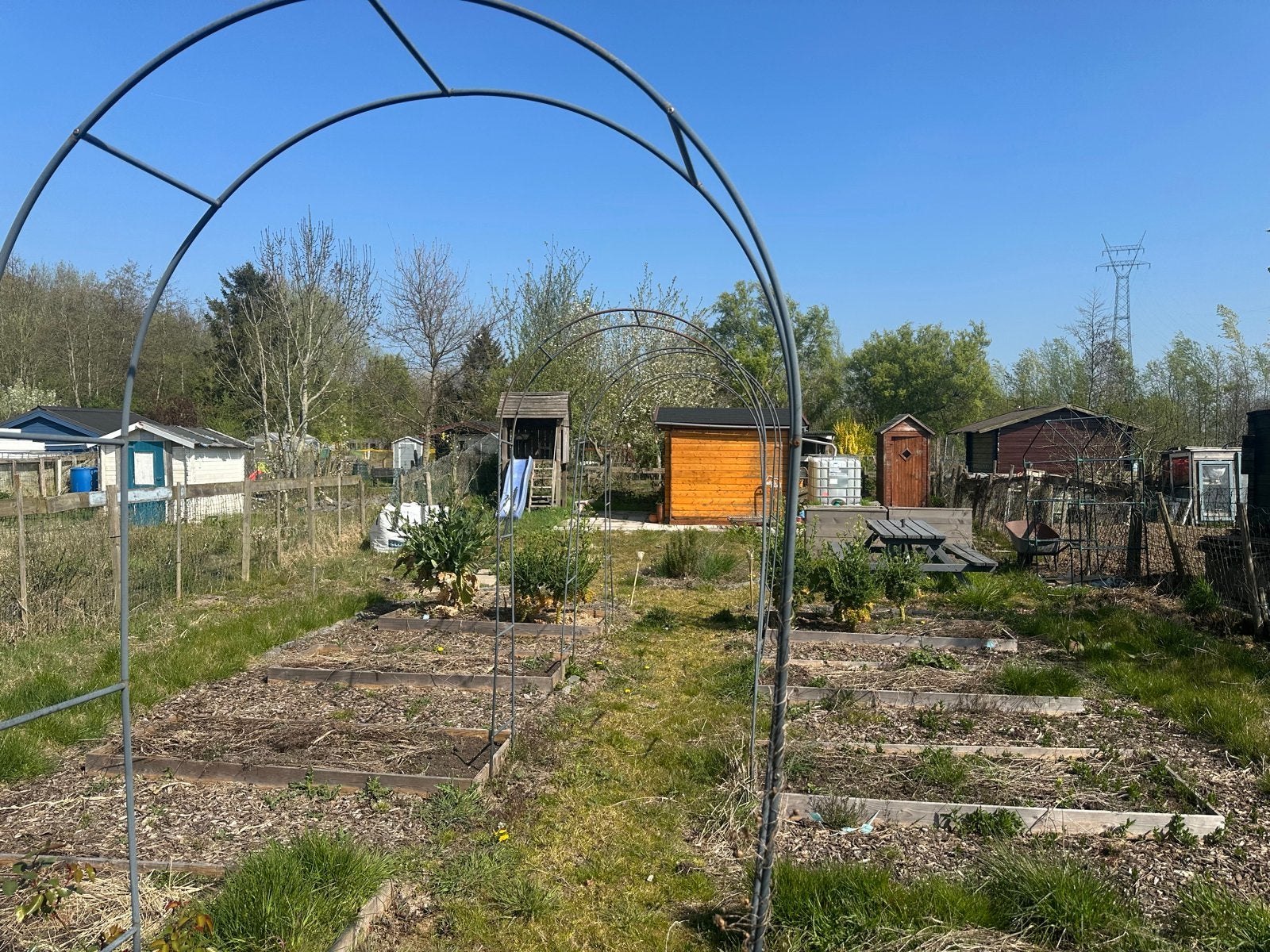Volkstuin ter overname Ridderkerk, Tuin en Terras, Tuinhuizen, Minder dan 250 cm, Gebruikt, Overige typen, Ophalen of Verzenden