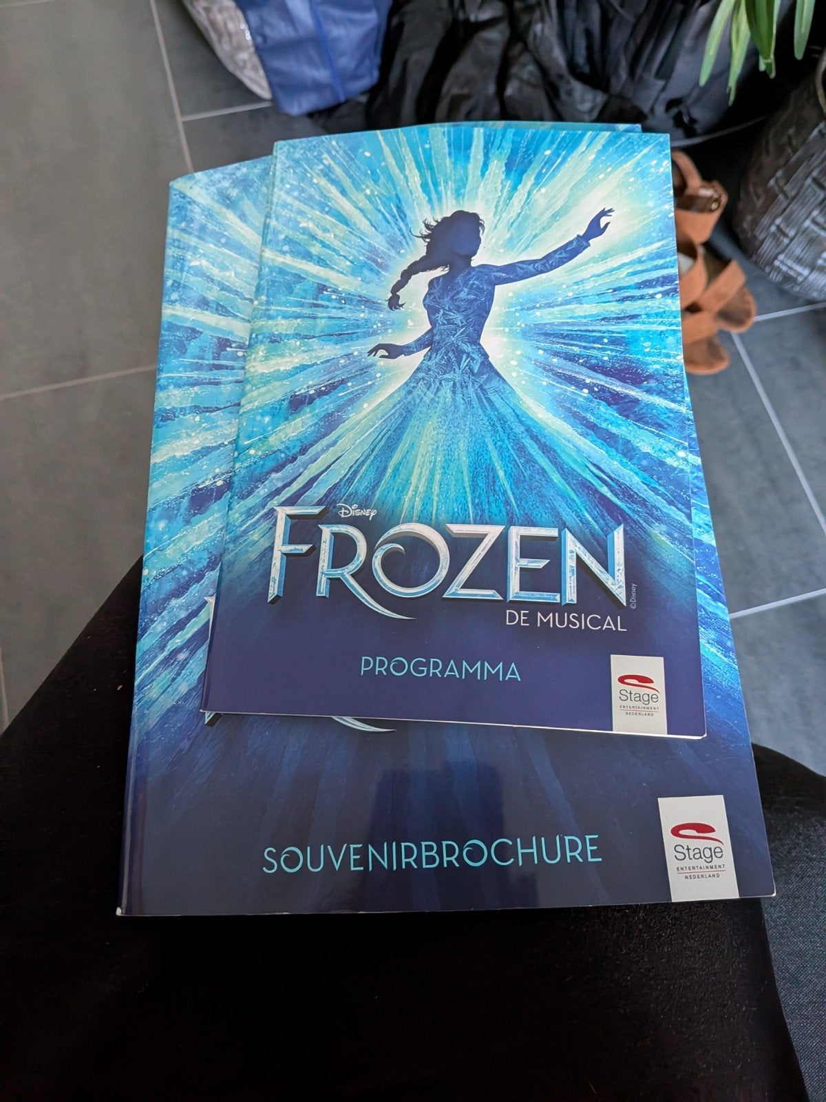 frozen programma boek NL, Boeken, Ophalen of Verzenden, Zo goed als nieuw