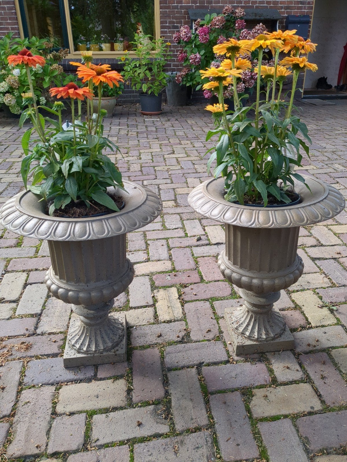 Gouden vazen, Tuin en Terras, Ophalen