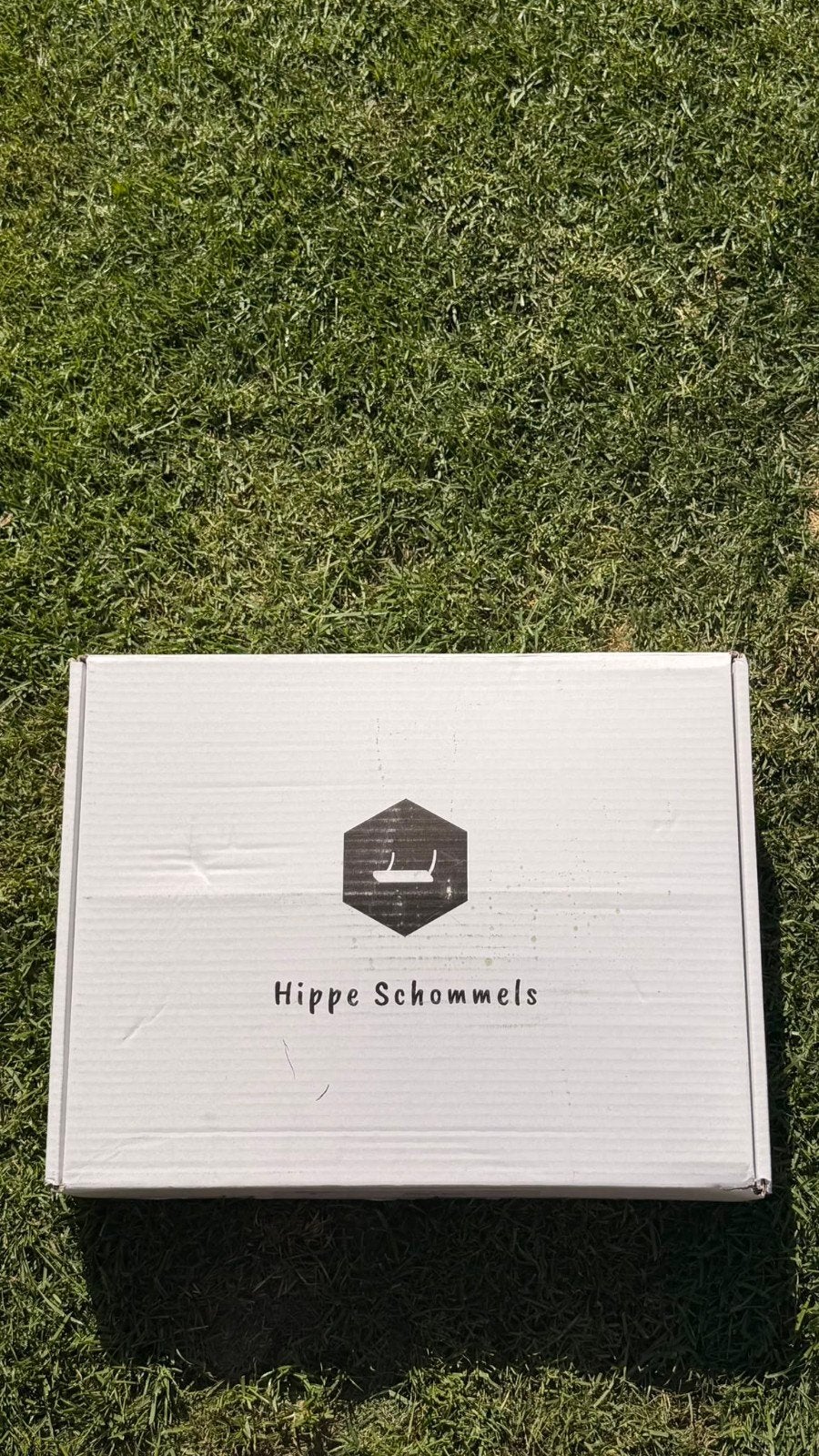 Hippe schommel NIEUW IN DOOS, Ophalen of Verzenden, Nieuw, Schommel