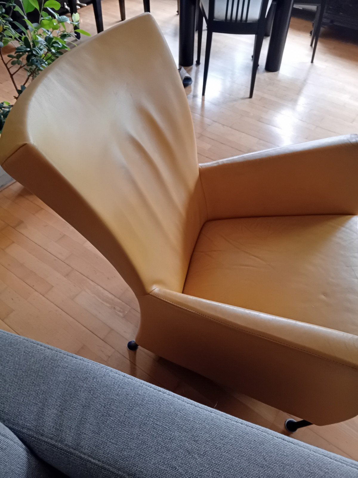 Originele Montis Fauteuil windy - Geel Echt Leder, Ophalen, Gebruikt, 50 tot 75 cm, Leer