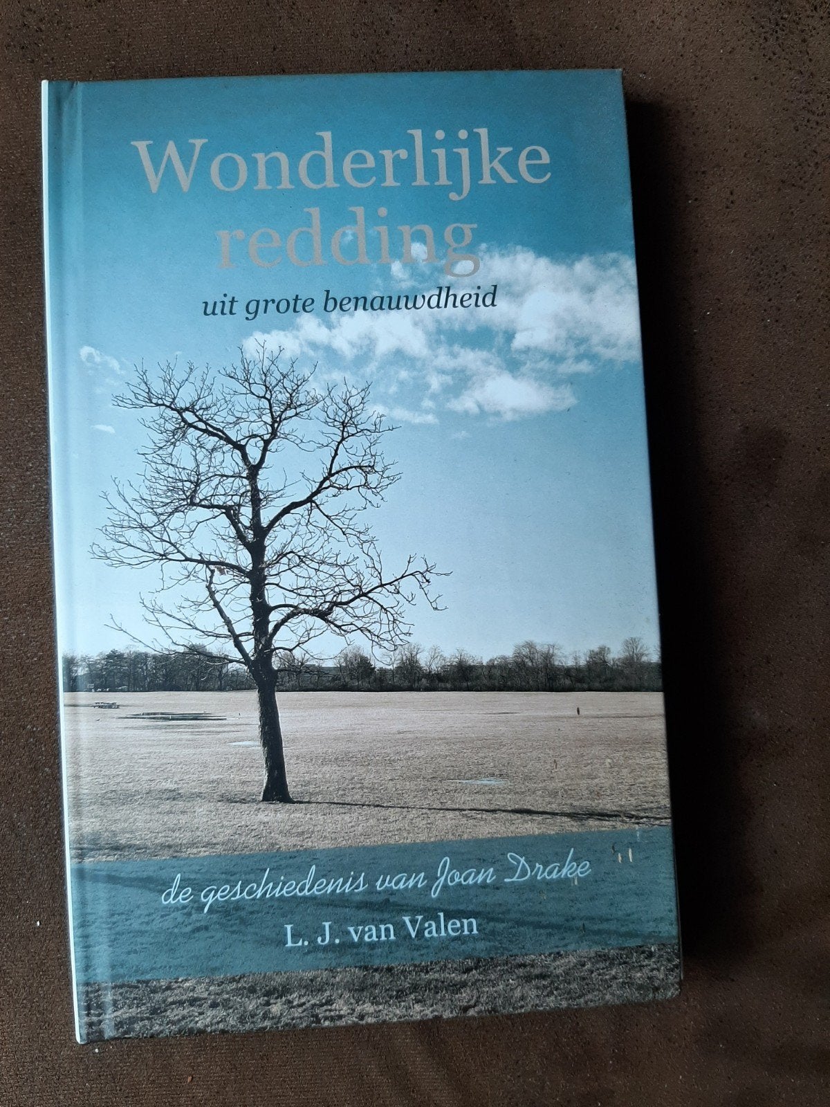 Wonderlijke redding uit grote benauwdheid - L.J. van Valen, Boeken, Ophalen of Verzenden, Zo goed als nieuw, L.J. van Valen, Christendom | Protestants