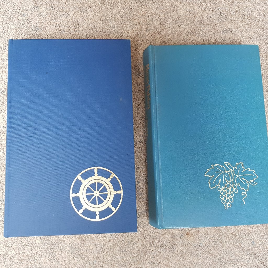 2 Romans, Boeken, Ophalen of Verzenden, Zo goed als nieuw, Diverse auteurs