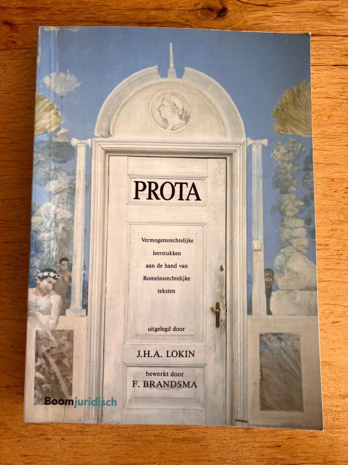 J.H.A. Lokin - Prota, Ophalen of Verzenden, Zo goed als nieuw, J.H.A. Lokin; F. Brandsma