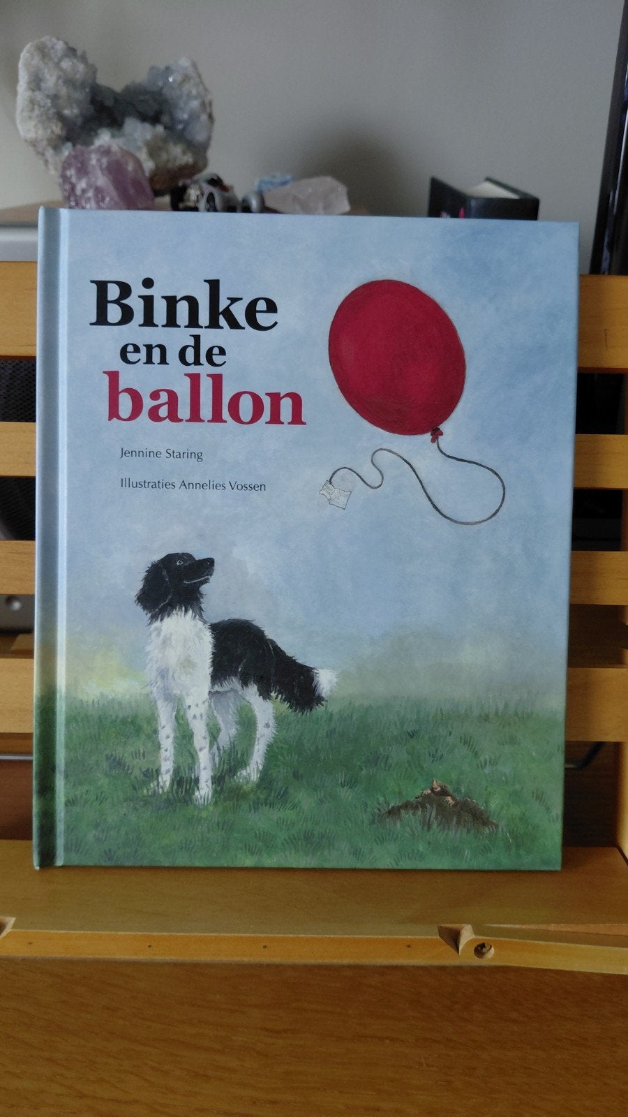 Binke en de ballon - Kinderboek van Jennine Staring, Boeken, Ophalen of Verzenden, Zo goed als nieuw, Jennine Staring, 3 tot 4 jaar