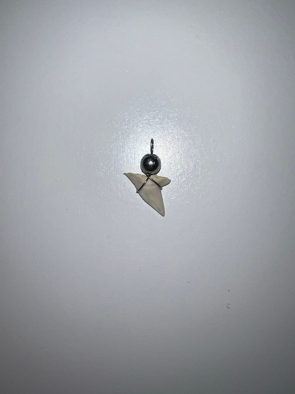 Echte haaientand hanger voor aan een ketting, Overige materialen, Verzenden, Wit, Nieuw