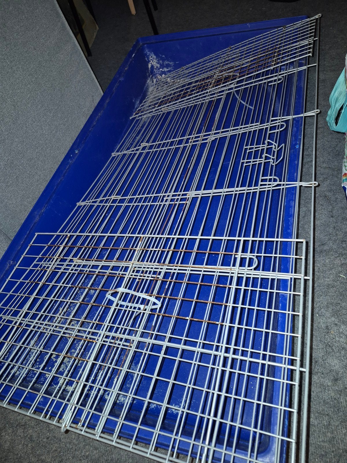 Skyline Caviakooi Maxi XXL hok kooi hamster cavia konijnen, Kooi, Hamster, Ophalen, Minder dan 60 cm