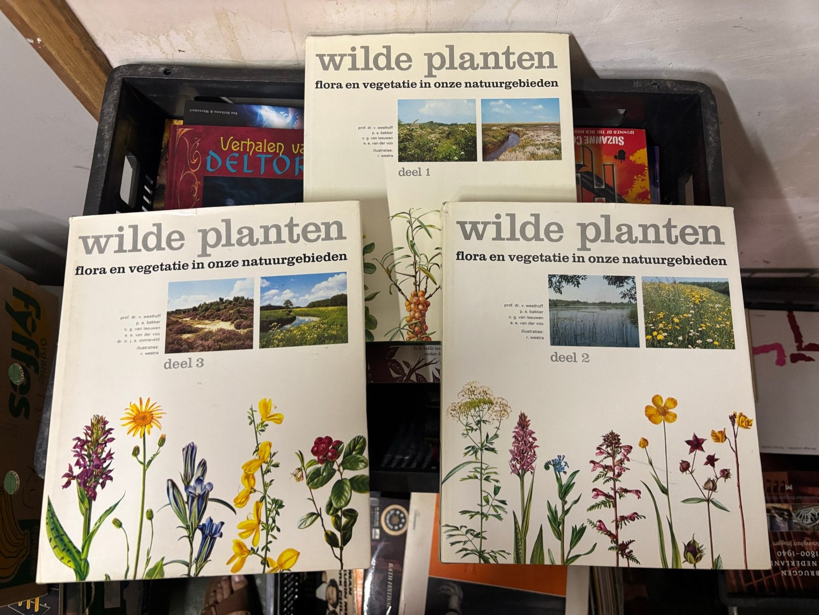 Wilde Planten: Flora en Vegetatie in Onze Natuurgebieden, Boeken, Natuur, Gelezen, Bloemen, Planten en Bomen, Ophalen of Verzenden
