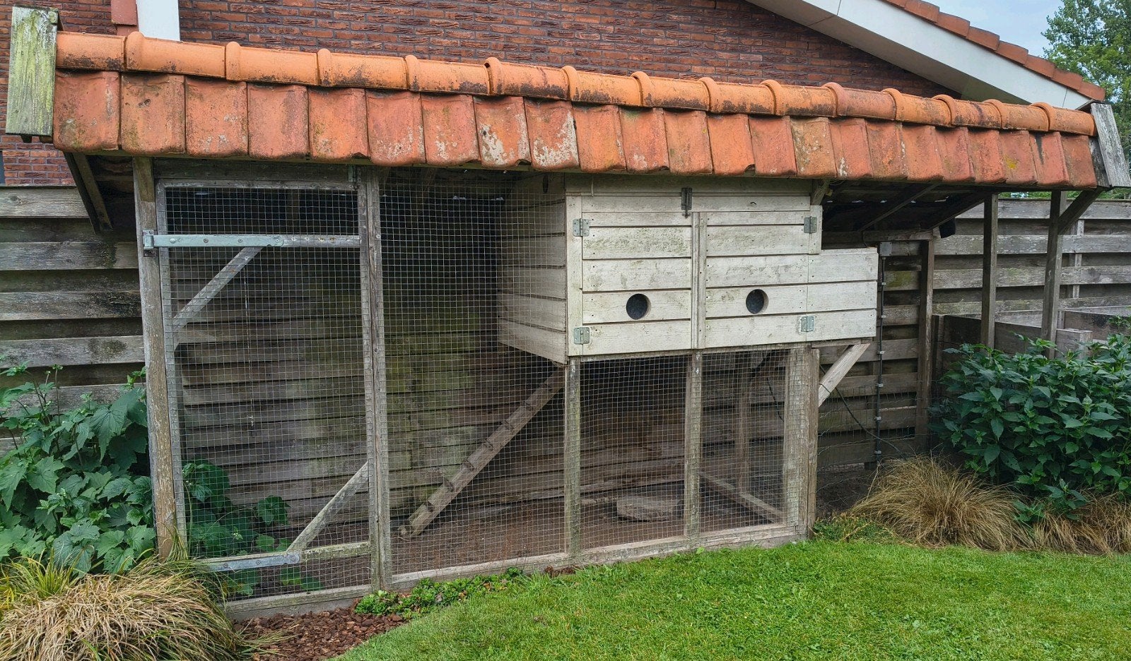Prachtig Kippenhok met grote buitenren en pannen dak, Dieren en Toebehoren, Ophalen, Kippenhok of Kippenren