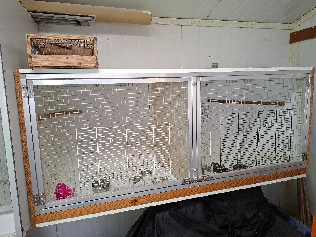Kweekkooi / Broedkooi met toebehoren, Dieren en Toebehoren, Ophalen, Gebruikt, Hout, Broedkooi of Kweekkooi