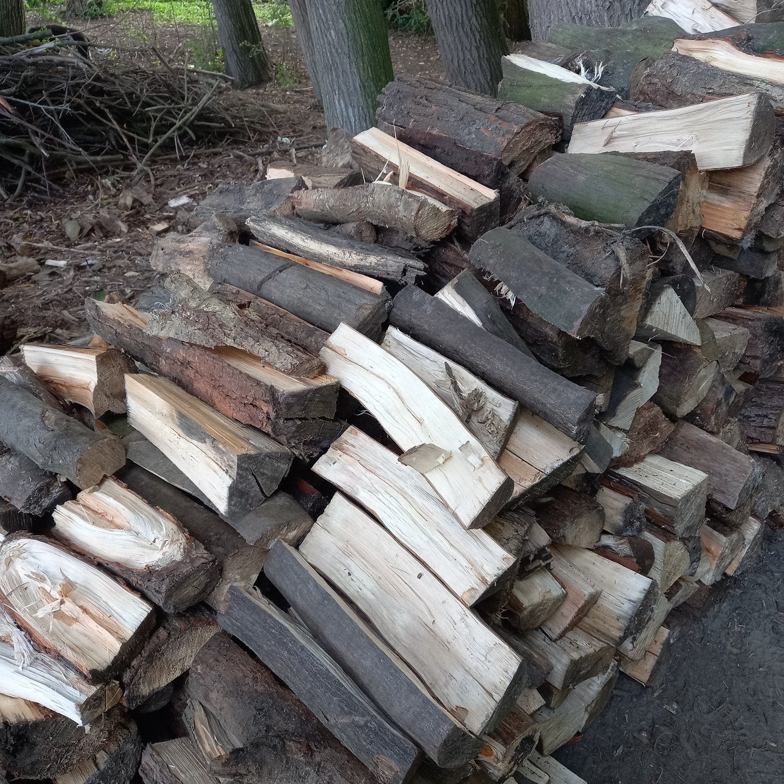 Gekloofd brandhout openhaard hout wilgenhout / essenhout, Tuin en Terras, Minder dan 3 m³, Ophalen, Overige houtsoorten, Blokken