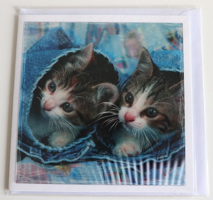 Grote 3D kaart katten / kittens in broekspijpen van jeans, Verzamelen, Ansichtkaarten | Dieren, Ophalen of Verzenden, 1980 tot heden