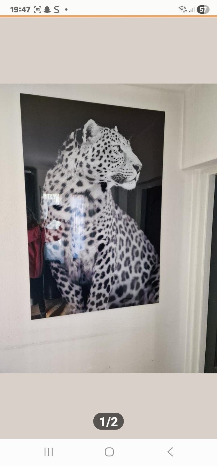 Glas schilderij leopard, Antiek en Kunst, Ophalen