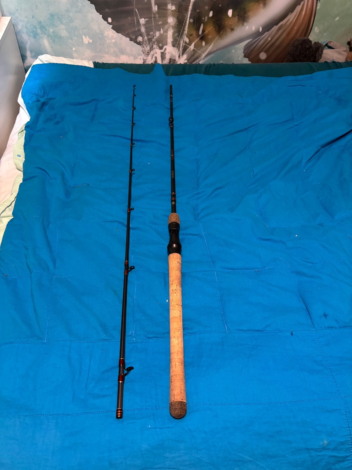 Spro ridge classic cast 200, Watersport en Boten, Ophalen, Gebruikt, Werphengel