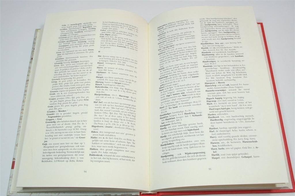 Idioticon Groninganum — Gronings Woordenboek [1997], Ophalen of Verzenden, Gelezen