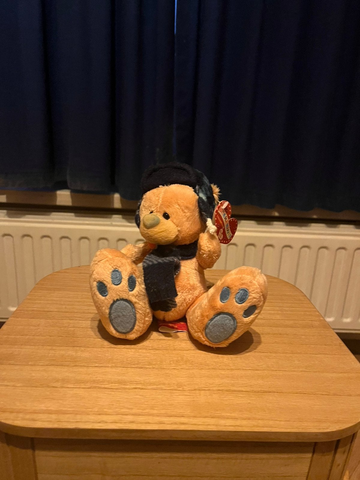 Teddy bear, Ophalen of Verzenden, Zo goed als nieuw, Stoffen beer, Overige merken
