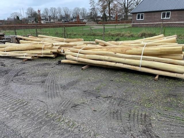 Robinia spintvrij geschuurd B-keus, Ophalen, Nieuw, 250 cm of meer, Palen