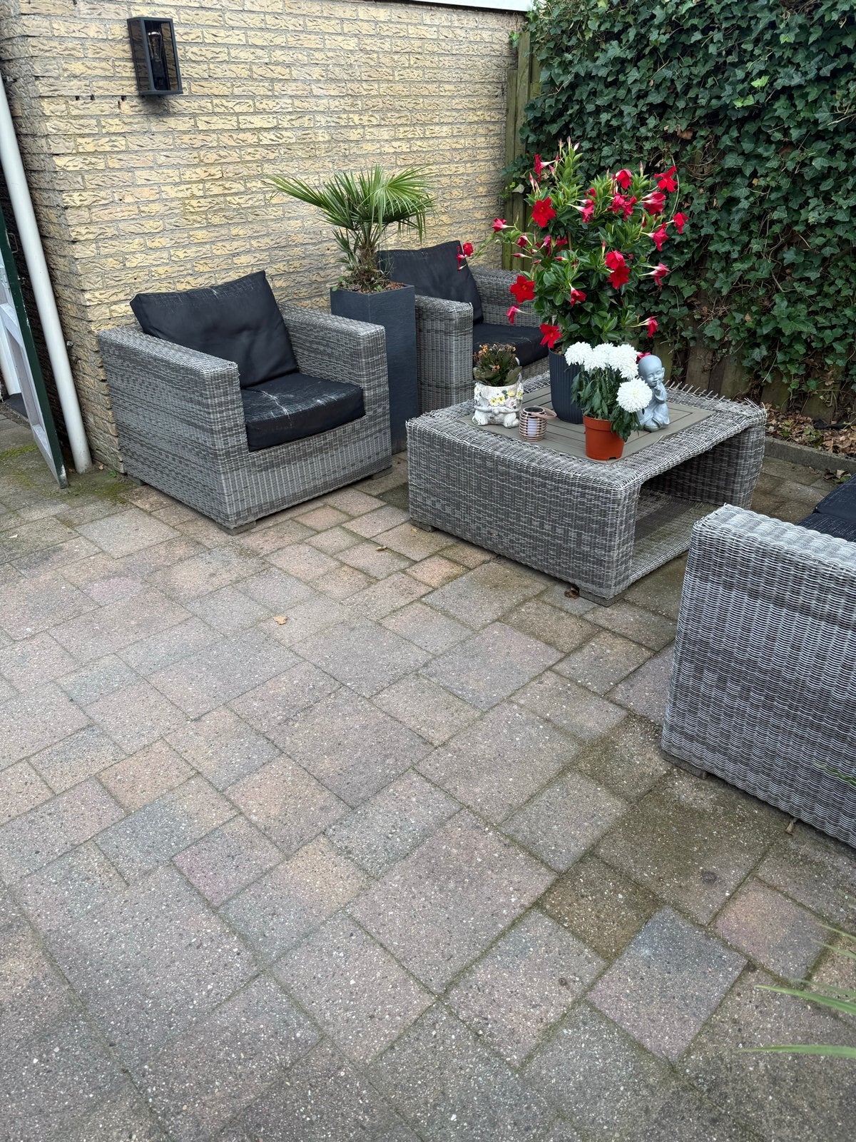 Gratis af te halen: Terrastegels (ca. 60 m2), Ophalen, Gebruikt, 10 m² of meer, Beton