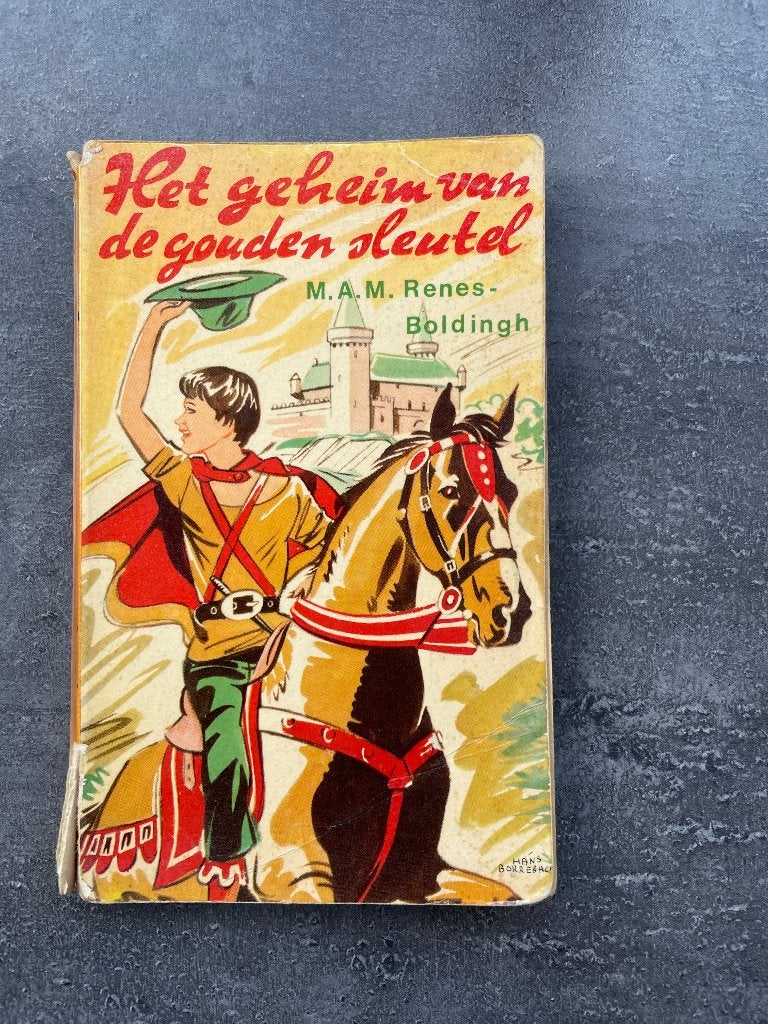 Het geheim van de gouden sleutel van M.A.M. Renes-Boldingh, Boeken, Ophalen, Gelezen, Fictie algemeen