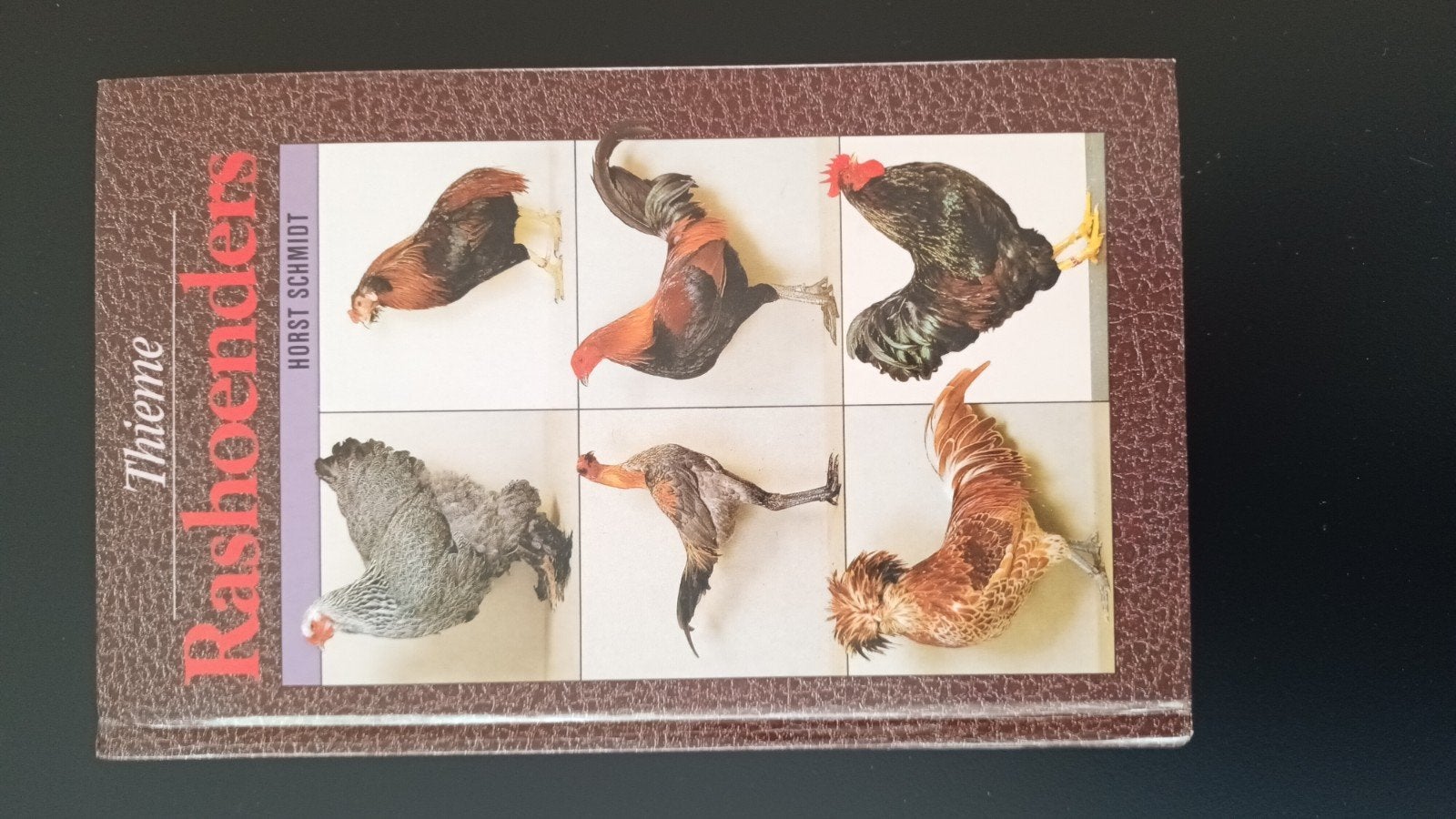 Thieme Rashoenders - Horst Schmidt (Boek), Boeken, Natuur, Ophalen of Verzenden, Gelezen, Overige onderwerpen, Horst Schmidt
