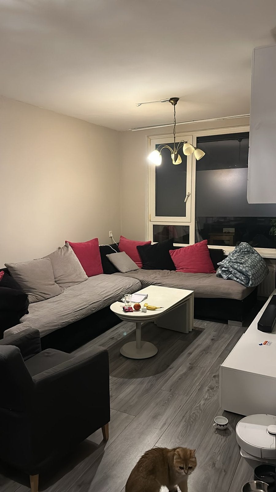Comfortabele hoekbank met kussens, 250 tot 300 cm, Gebruikt, 100 tot 125 cm, Hoekbank