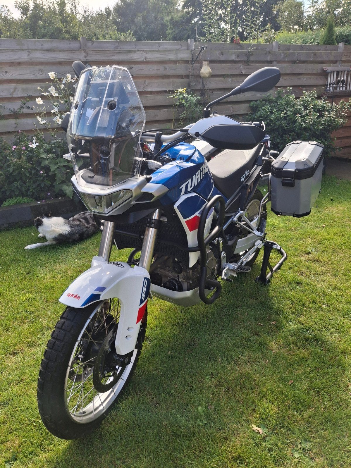 Aprilia Tuareg 660 - 2025, 2 cilinders, Occasion, 660 cc, Particulier