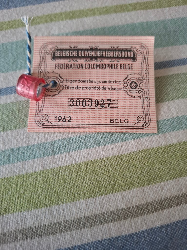 Duivenring 1962 belg, Dieren en Toebehoren, Postduif